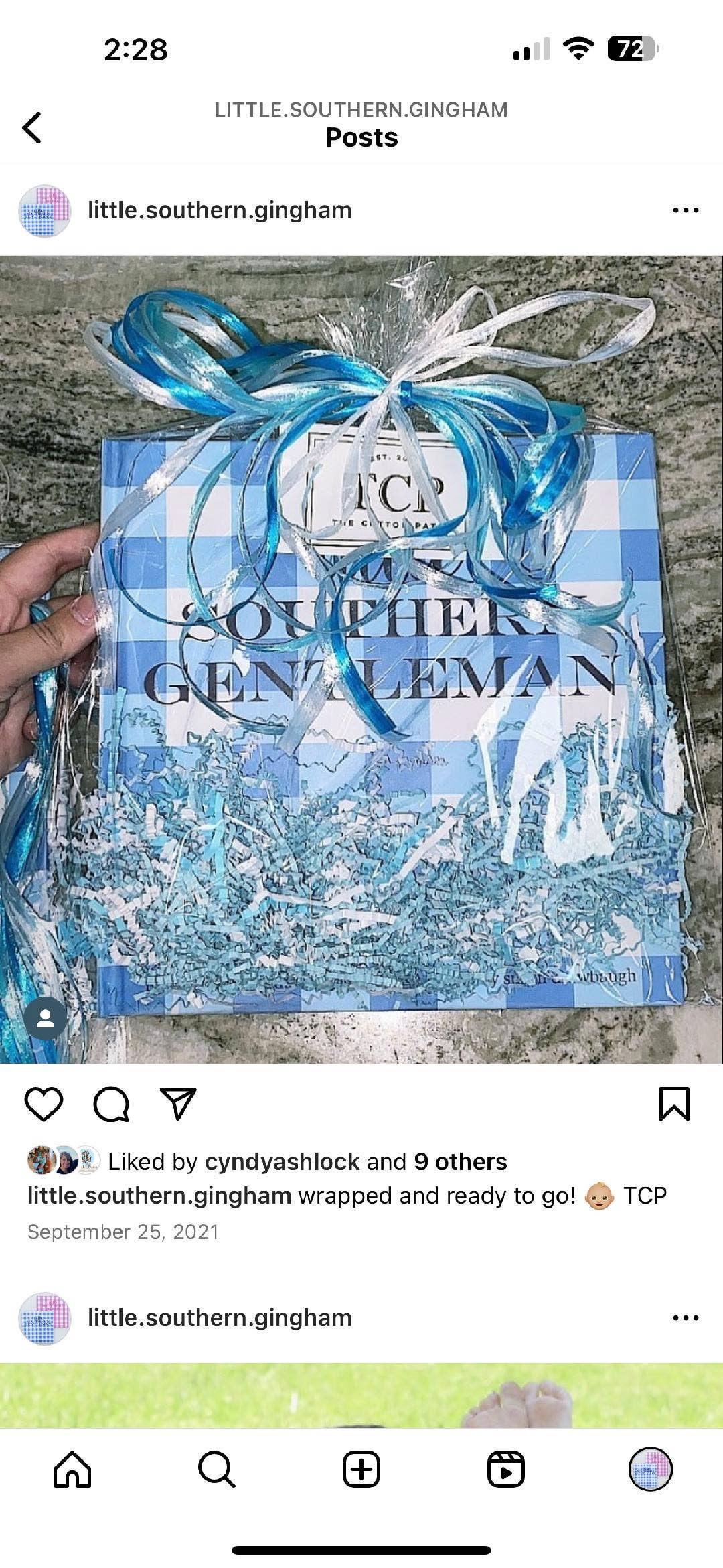 Little Southern Gingham - Little Southern Gentleman