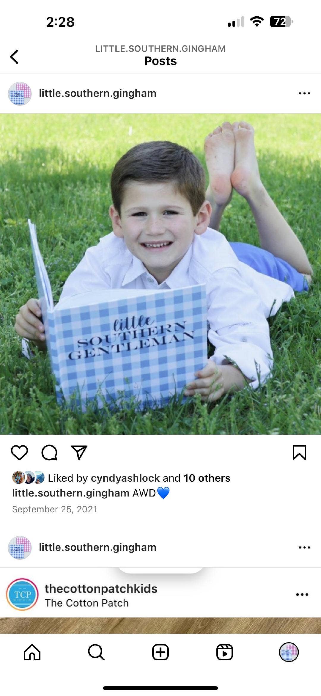 Little Southern Gingham - Little Southern Gentleman