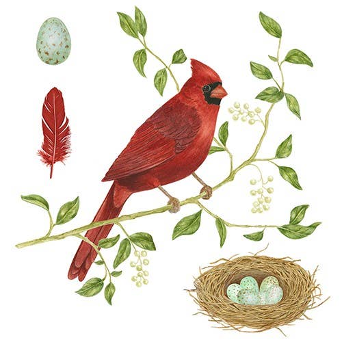 Single Flour Sack Towels Packaged- Cardinal N Nest