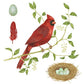 Single Flour Sack Towels Packaged- Cardinal N Nest