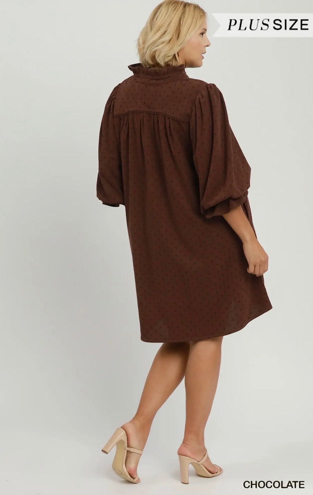 Audrey Dress (Curvy)