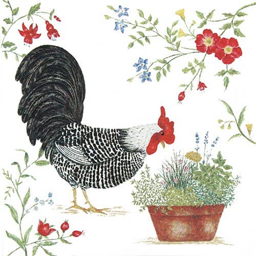 Single Flour Sack Towels Packaged -Rooster