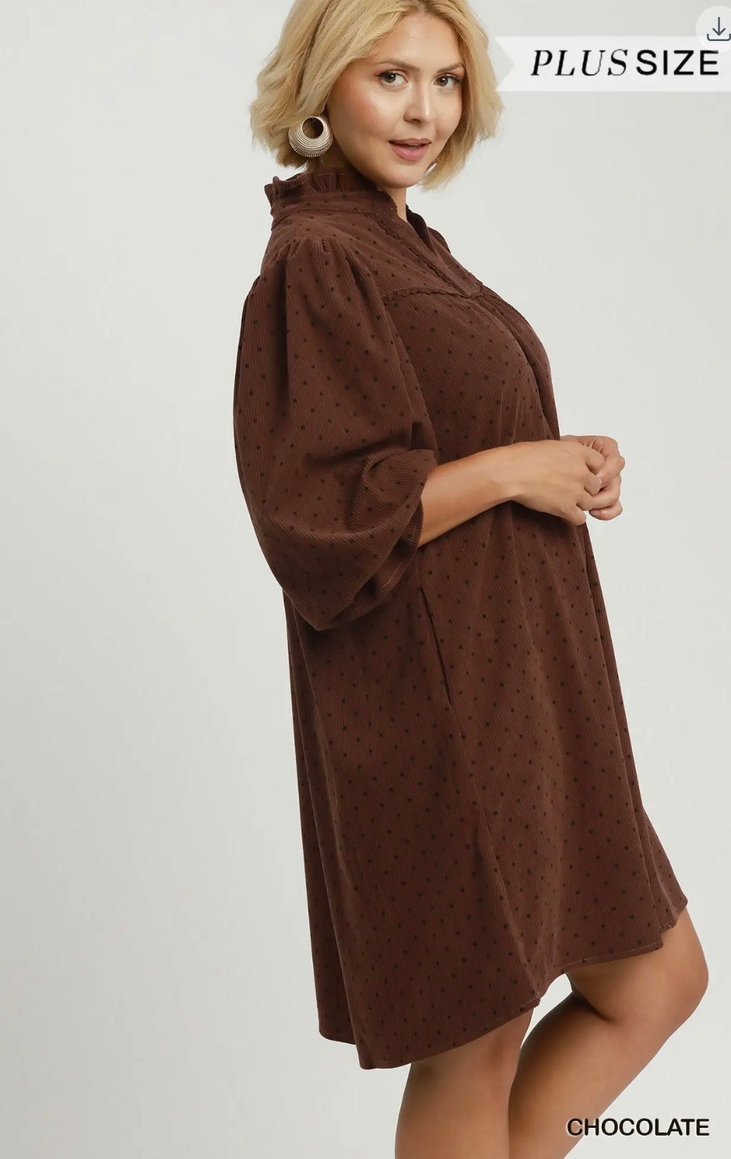 Audrey Dress (Curvy)