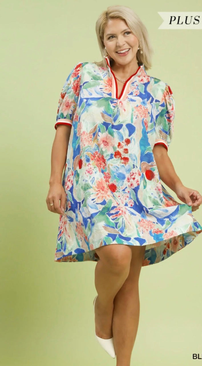 Tessa Dress (Curvy)