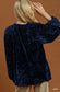 Blue Velvet Top