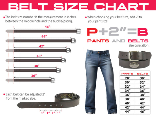 Zep-Pro - Georgia Bulldogs Men's Collegiate Brown Leather Concho Belt.